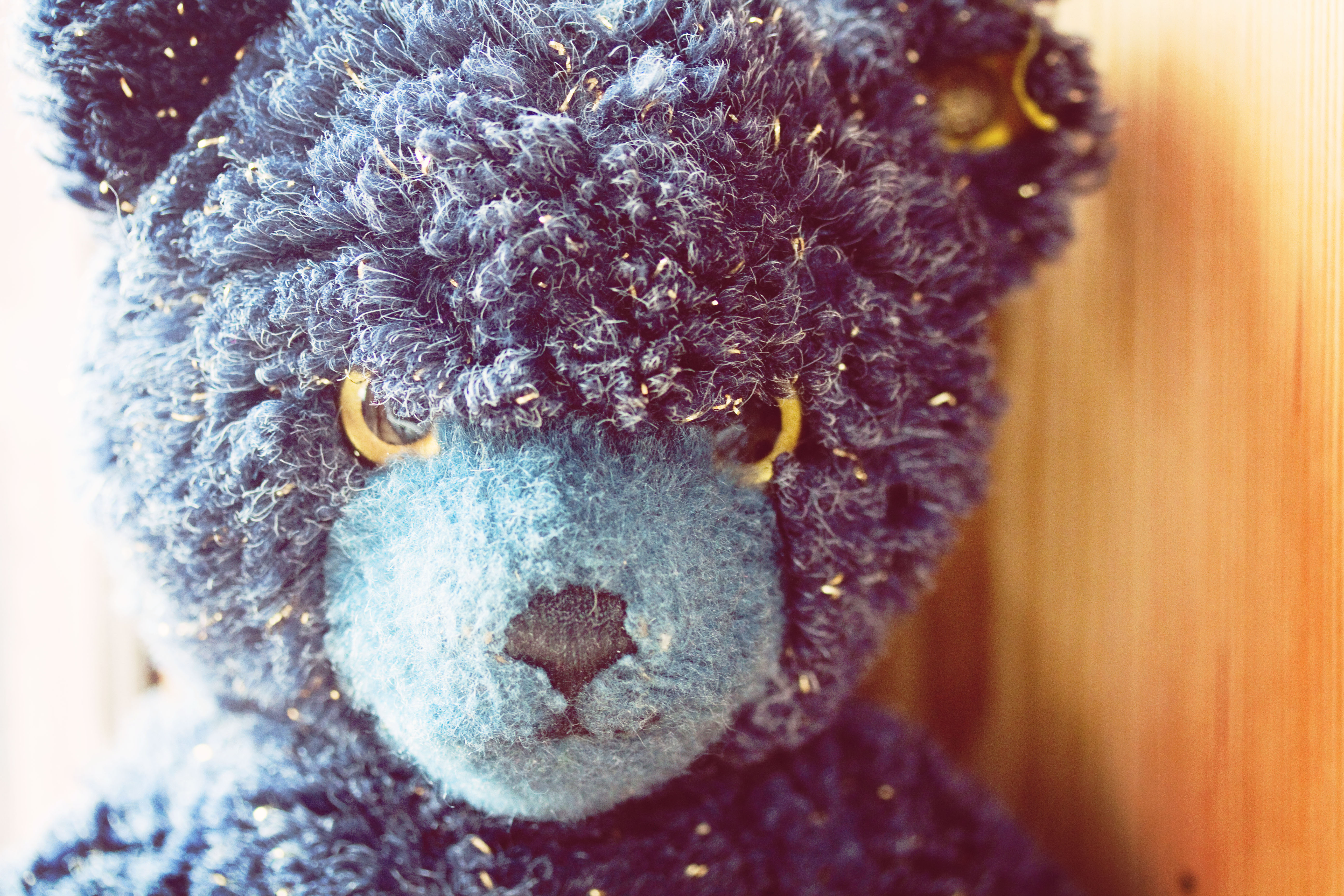 Limited edition Steiff bear with gold glitter detail and angry face