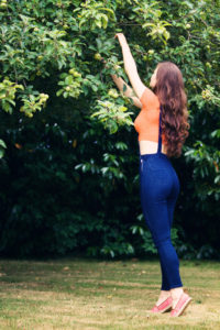 Teen girl reaching up to pick apples off tree