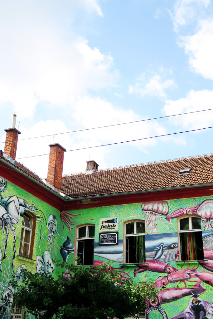 street-art-culture-ljubljana